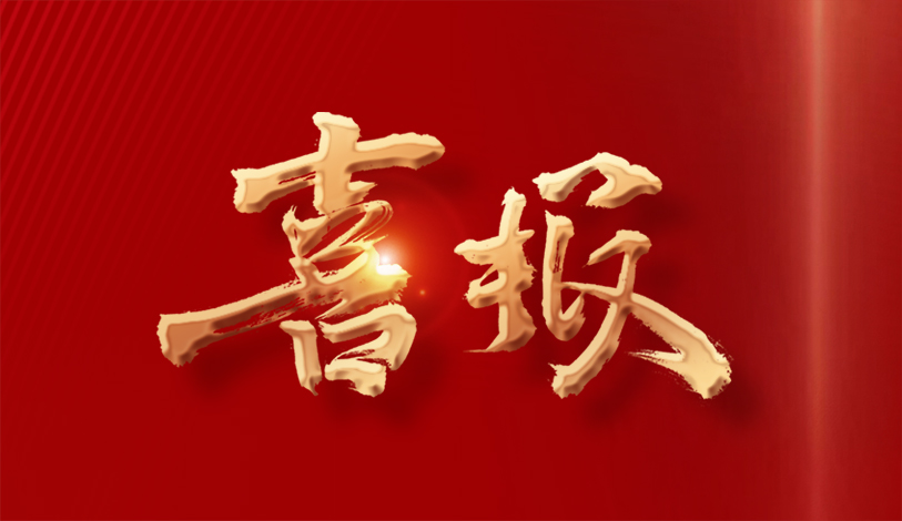 喜訊 | 寶麗華榮獲全市工商聯系統助力“百千萬工程”先進集體榮譽稱號